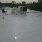 Roof Cleaning In Phoenix