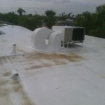 Roof Cleaning Before